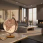 Preview: Illuminated globe National Geographic Delight Executive Ø 30 cm