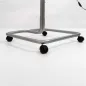 Preview: Schulglobus DP 50 Erika - Ø 50 cm