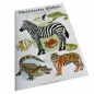 Preview: Illuminated globe for children KS 2525 - Ø 25 cm