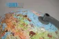 Preview: Kinderglobus KI 3010 - Ø 30 cm